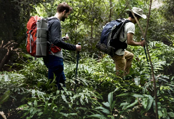 Gruppe Von Menschen Beim Trekking Wald — Stockfoto