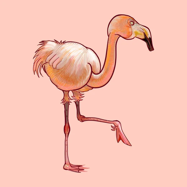 Flamingo Rosa Desenhado Mão Sobre Fundo Rosa — Fotografia de Stock
