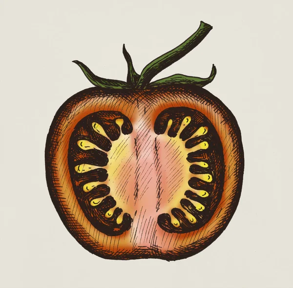 Hand Getekend Gehalveerde Verse Tomaat — Stockfoto
