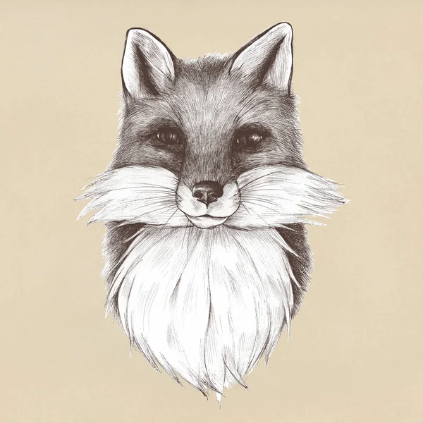 Ručně Kreslenou Fox Izolované Pozadí — Stock fotografie