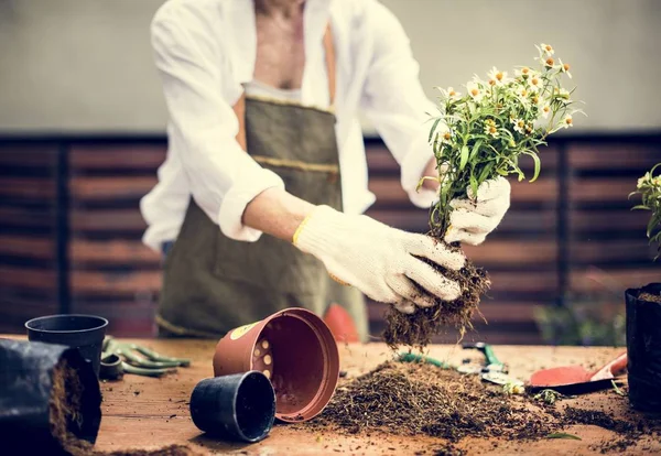 Een Vrouw Het Planten Van Bloemen — Stockfoto