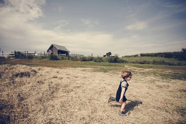 Κοριτσάκι Παίζει Ένα Αγρόκτημα — Φωτογραφία Αρχείου
