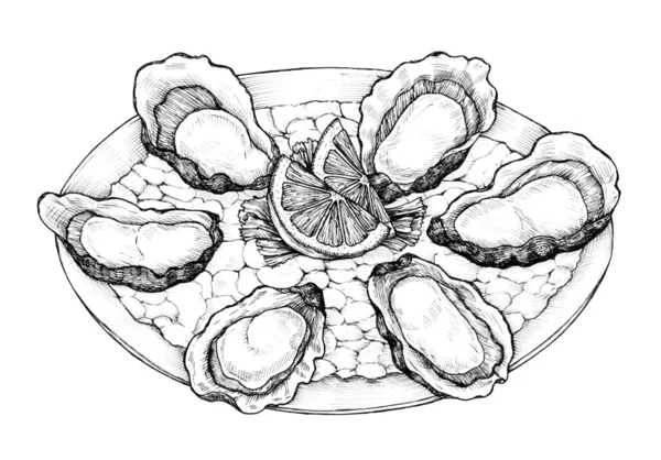 Hand Dras Oyster Saltvatten Tvåskaliga Tallrik — Stockfoto