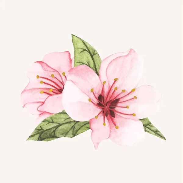 分離された手描き花 — ストック写真