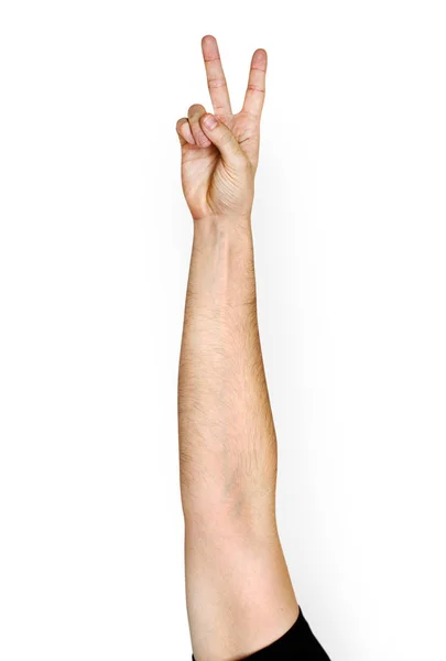 人手与和平标志用二个手指 — 图库照片