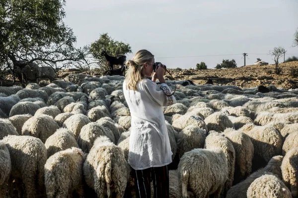 Blonde Woman Flock Sheeps — Stock Photo, Image