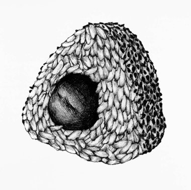 Çizilmiş onigiri Japon gıda el