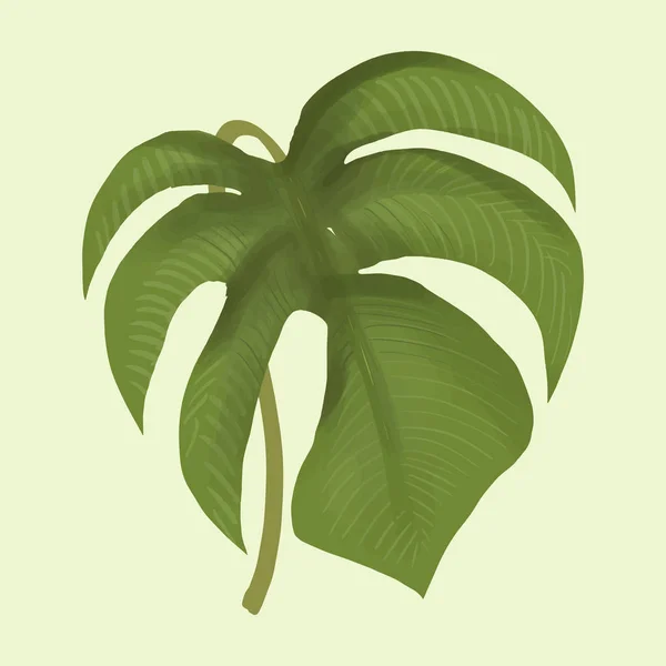 手描き植物葉の分離 — ストック写真