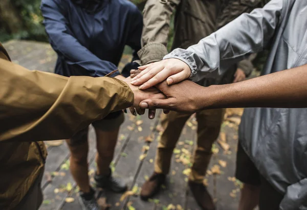 Trabajo Equipo Aire Libre Bosque — Foto de Stock