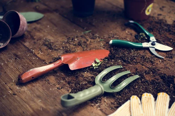 Tuingereedschap Een Houten Tafel — Stockfoto