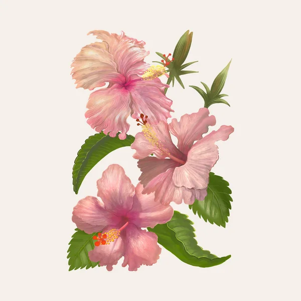 Ilustracja Rysunek Akwarela Kwiat — Zdjęcie stockowe