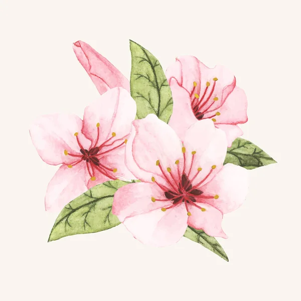 分離された手描き花 — ストック写真