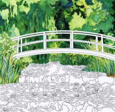 Monet'nin Nilüfer yetişkin renklendirme sayfa