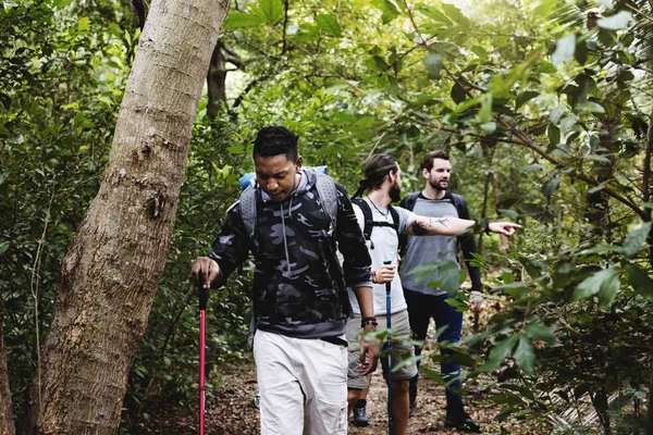 Groupe Personnes Trekking Dans Une Forêt — Photo