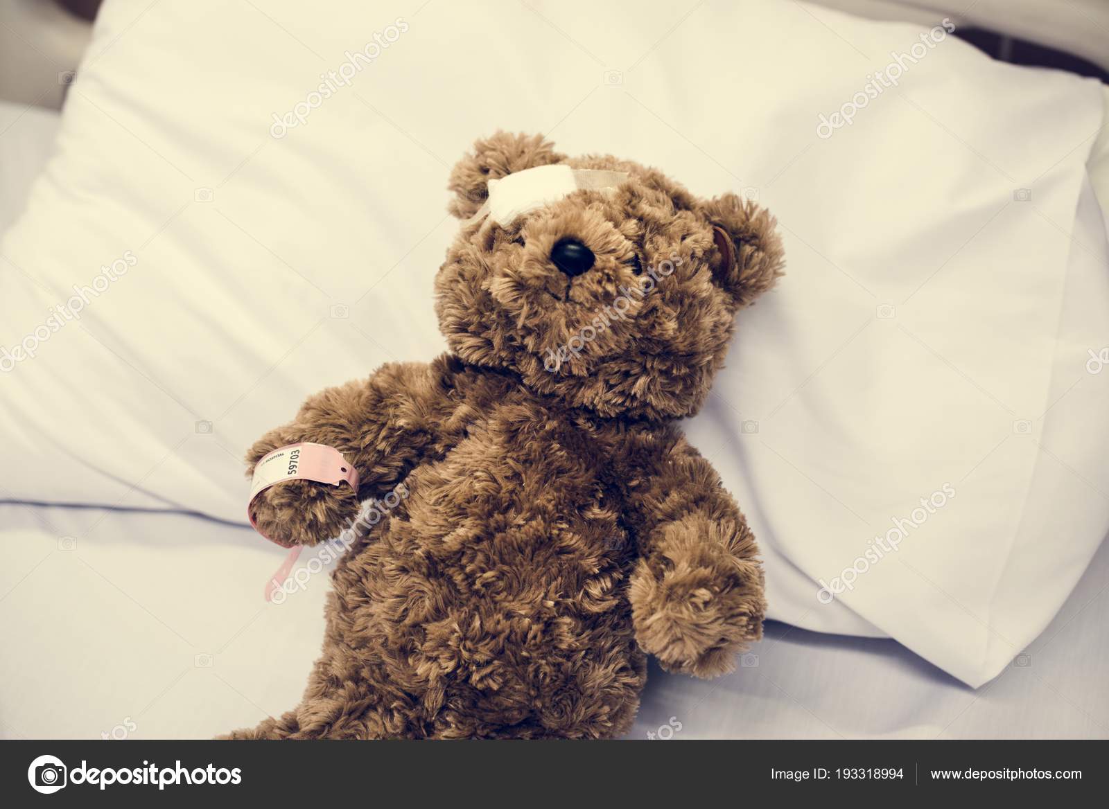 injured teddy bear