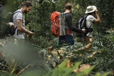 bir grup insan bir ormanda yürüyüş