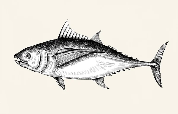 Elle Çizilmiş Ton Balığı — Stok fotoğraf