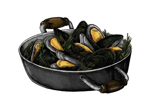 Hand Drawn Cooked Mussels — Stock Photo, Image