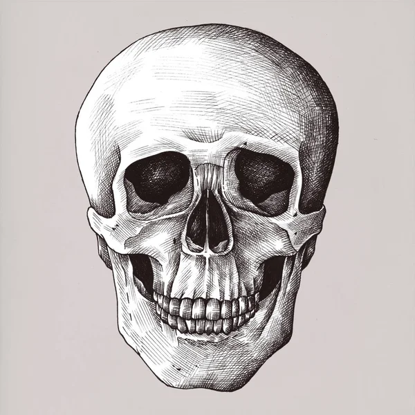 Ilustración Cráneo Estilo Vintage —  Fotos de Stock