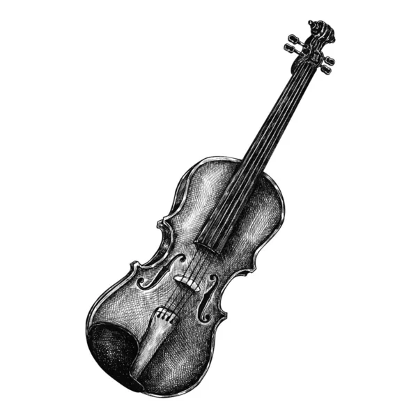 Hand Drawn Violin Isolated Background — Stock Photo, Image