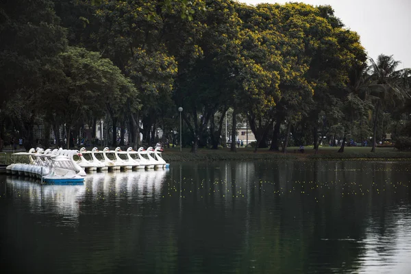 Barcos Remo Lumphini Park Bangkok — Fotografia de Stock