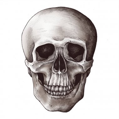 Vintage tarzı kafatası illüstrasyon