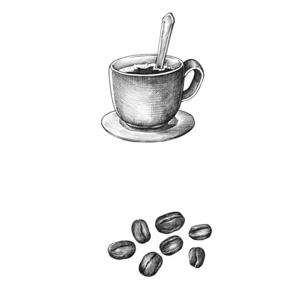Рука Drawm Кофе Кофе Бобы Изолированы Заднем Плане — стоковое фото