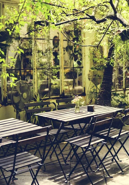 Jarda Café Jardim Com Plantas Tabelas — Fotografia de Stock
