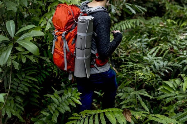 Homem Trekking Uma Floresta — Fotografia de Stock