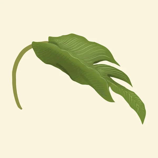 Выделенный Вручную Лист Растения — стоковое фото