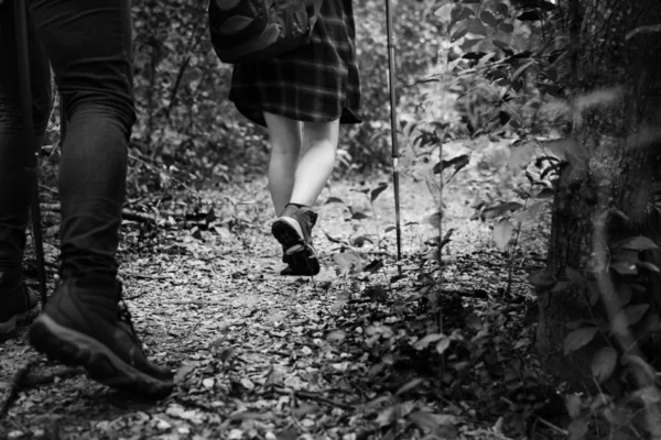 Grupp Människor Trekking Skog — Stockfoto