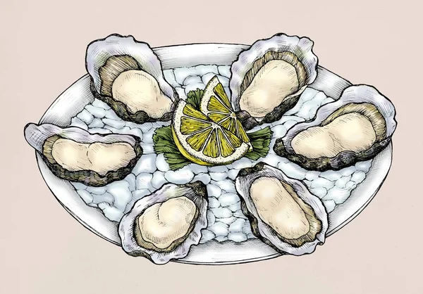 手拉牡蛎盐水双壳类拼盘 — 图库照片