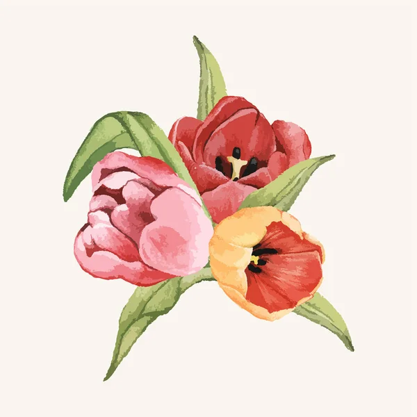 分離された手描きのチューリップの花 — ストック写真