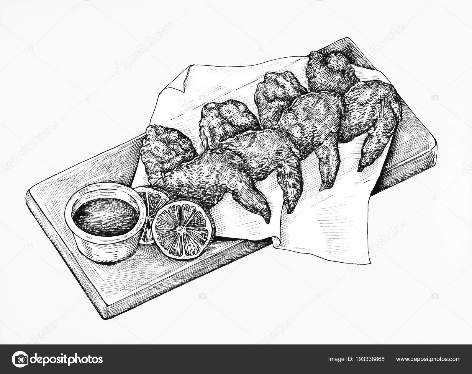 Hand Drawn Chicken Wings Vector Monochrome Sketch Stock Vector -  Illustration of drawing, lunch: 135626674