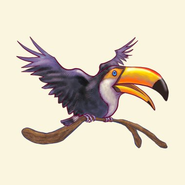 Elle çizilmiş toucan kuş izole