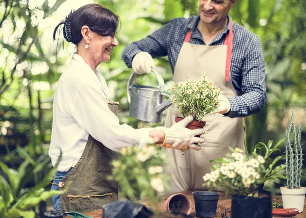 Casal Estão Plantando Flores Juntos — Fotografia de Stock