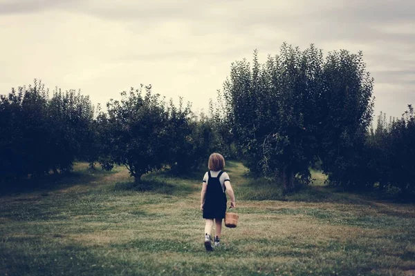Mała Dziewczynka Gra Farmie — Zdjęcie stockowe