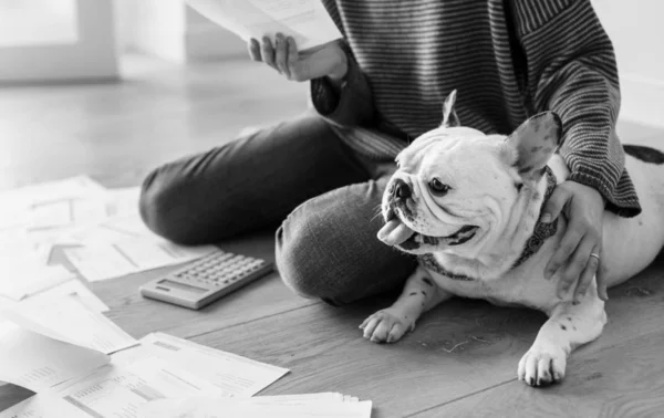 Mulher Gerenciando Dívida Bulldog — Fotografia de Stock