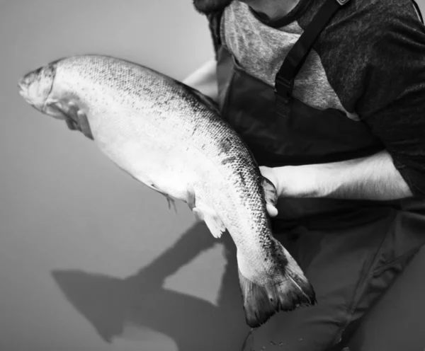 Hombre Pescado Salmón Capturado — Foto de Stock