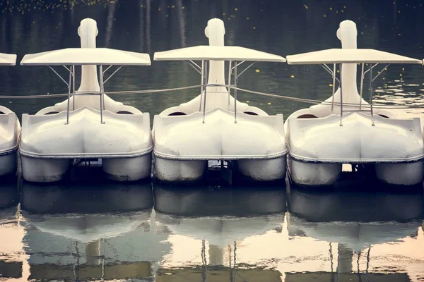 Лебединые Лодки Озере — стоковое фото
