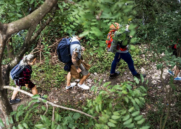 Grupo Pessoas Trekking Uma Floresta — Fotografia de Stock