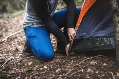 Birlikte ormanda kamp arkadaşları