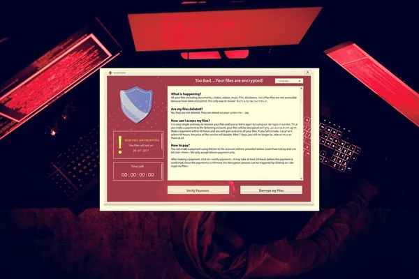 计算机网络犯罪 红色警告窗口图标 — 图库照片