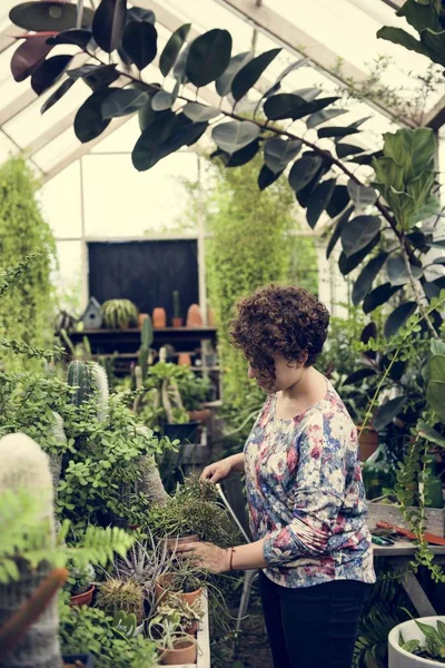 Floristin Bei Der Gartenarbeit Gewächshaus — Stockfoto