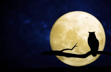 Gece gökyüzünde dolunay