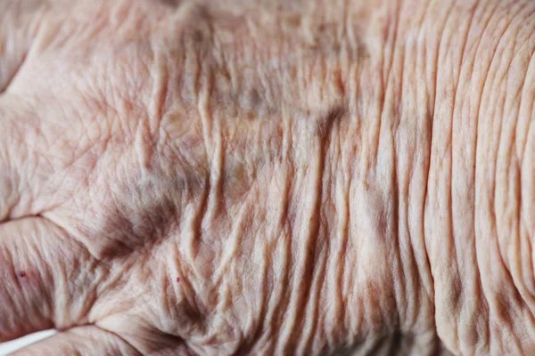 Closeup Wrinkled Hand — Stock Photo, Image