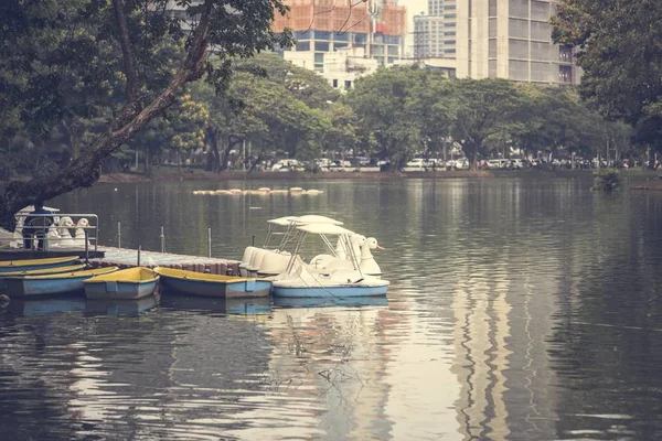 Лебединые Гребные Лодки Парке Лумфини Бангкок — стоковое фото