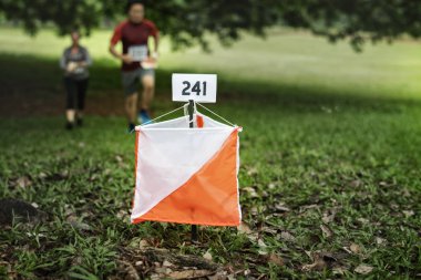 Orienteering kutusunda açık bir orman