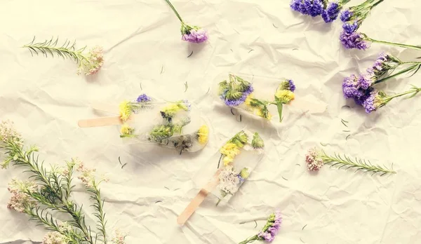Verão Caseiro Wildflower Gelo Pop — Fotografia de Stock