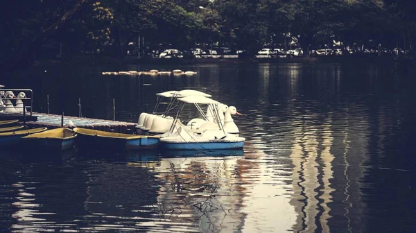 Лебединые Гребные Лодки Парке Лумфини Бангкок — стоковое фото